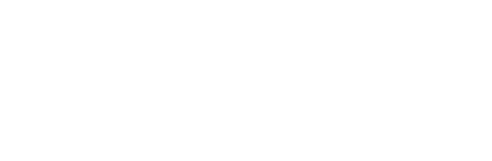 RYU Digital Agency