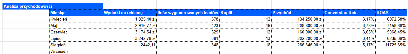 Analiza przychodowości kampanii Solidne Garaże Blaszane - 5 miesięcy wyników